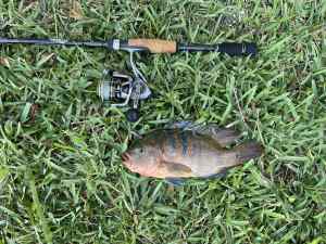 IMG_5014.JPEG