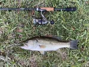 IMG_5015.JPEG