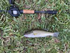 IMG_5029.jpeg