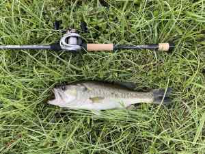 IMG_5072.JPEG