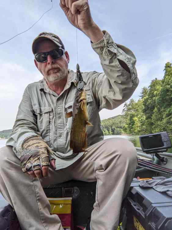 thumbnail-2023-07-06T140154_635.thumb.jpeg.5acdbdd626a607cda155087d5bc1e8f4.jpeg