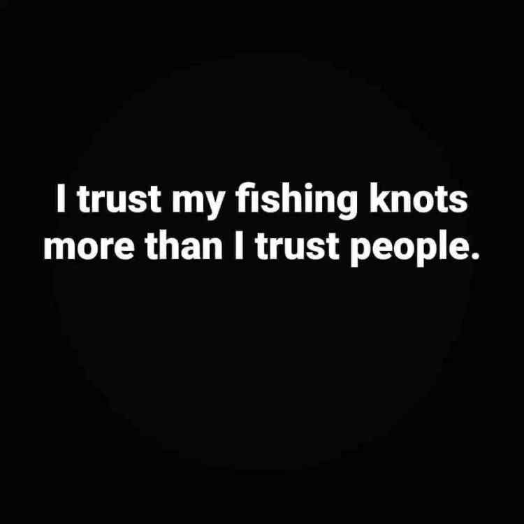 FB_IMG_1691142441051.jpg