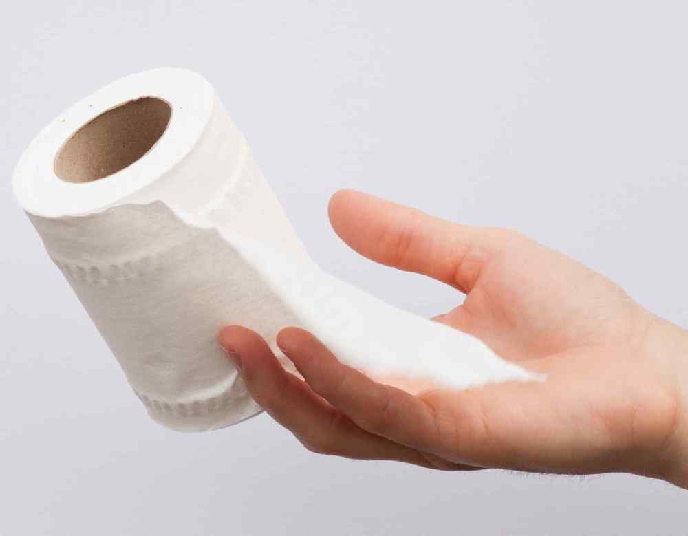 Half_a_white_toilet_paper_roll.jpg.52a22c4e64c75945b013a87dd70f0312.jpg