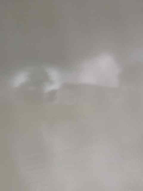 IMG_8354.jpeg.4293b3795d2188248890eb838ba46f2e.jpeg
