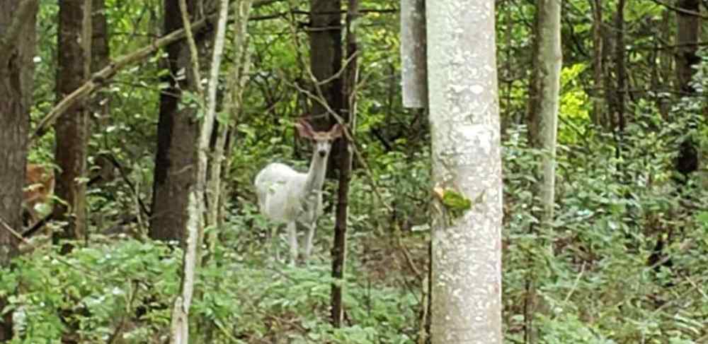 Image1737395633508516480.jpeg