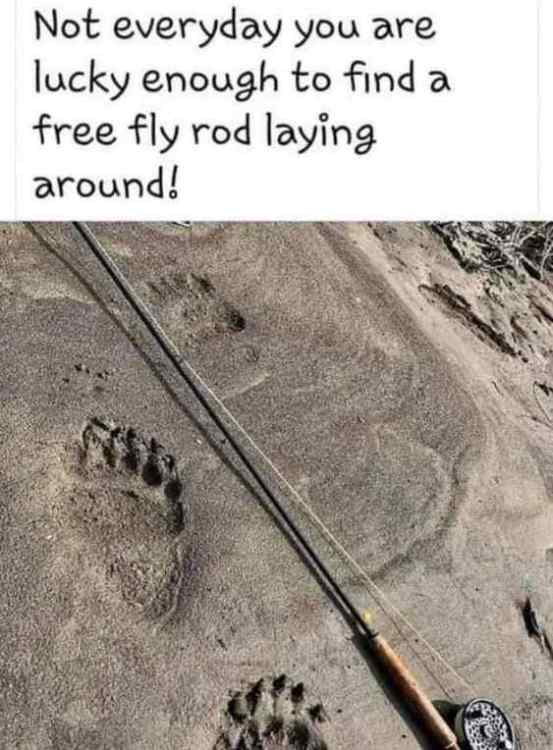 bear rod.jpg