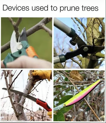 image.png.ce268a2fbfe8b3b2d0e85fcb1f41176f.png
