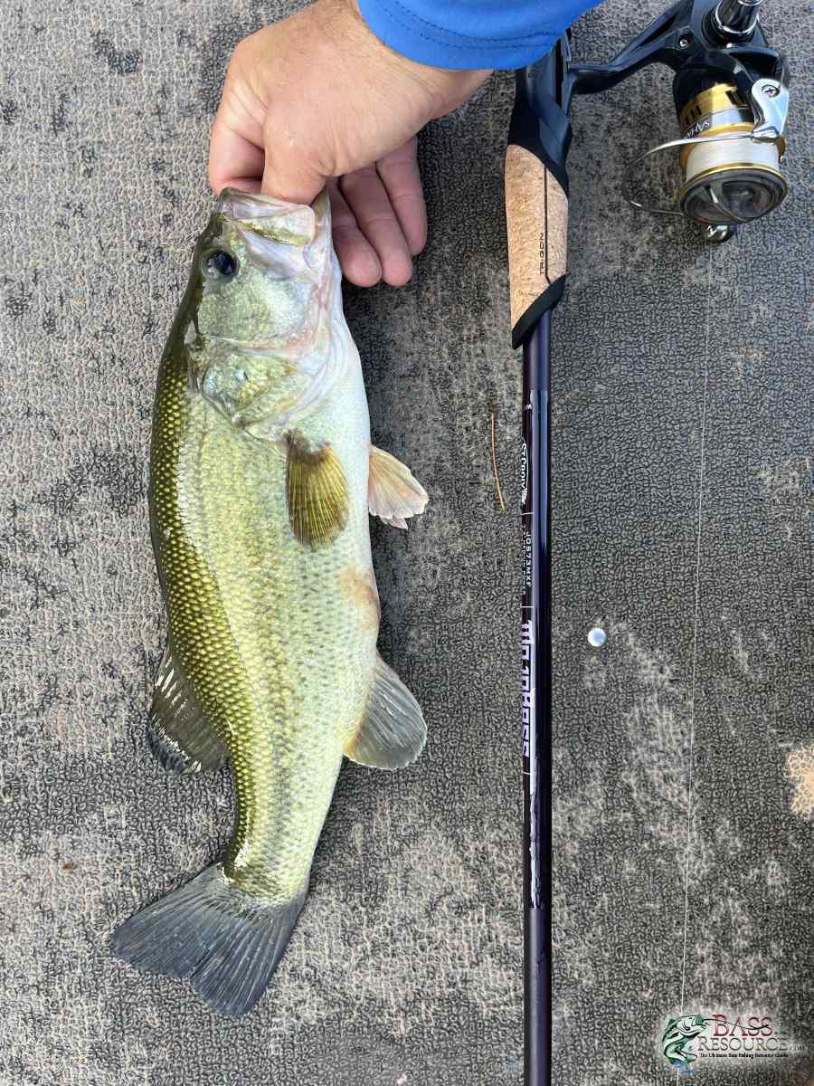 large.IMG_1878.jpeg