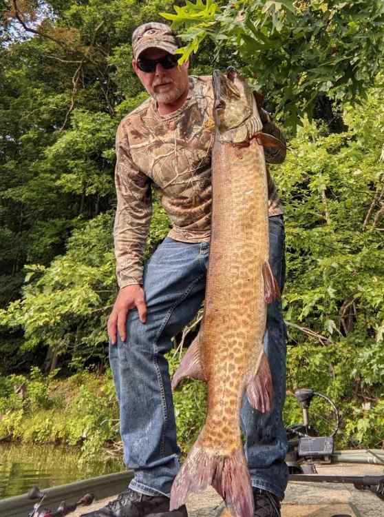 thumbnail - 2023-08-02T132045.951.jpeg