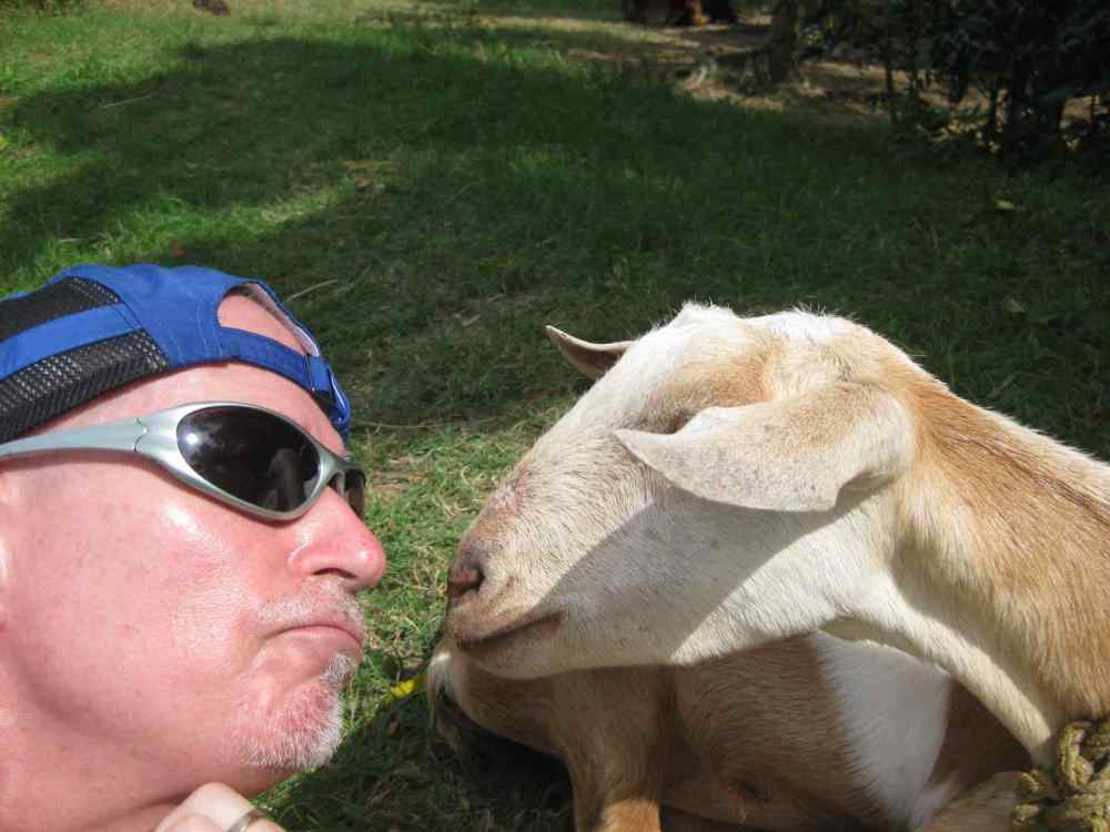 012.thumb.JPG.5f0138480525c99f61e1af729f347534.JPG