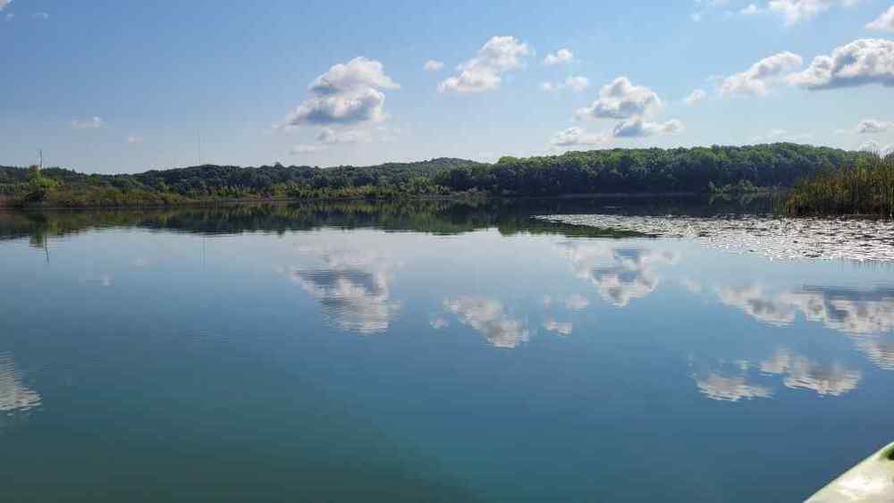 20230910_110708.thumb.jpg.713bf22308c7b5c599aef20f1a55595a.jpg