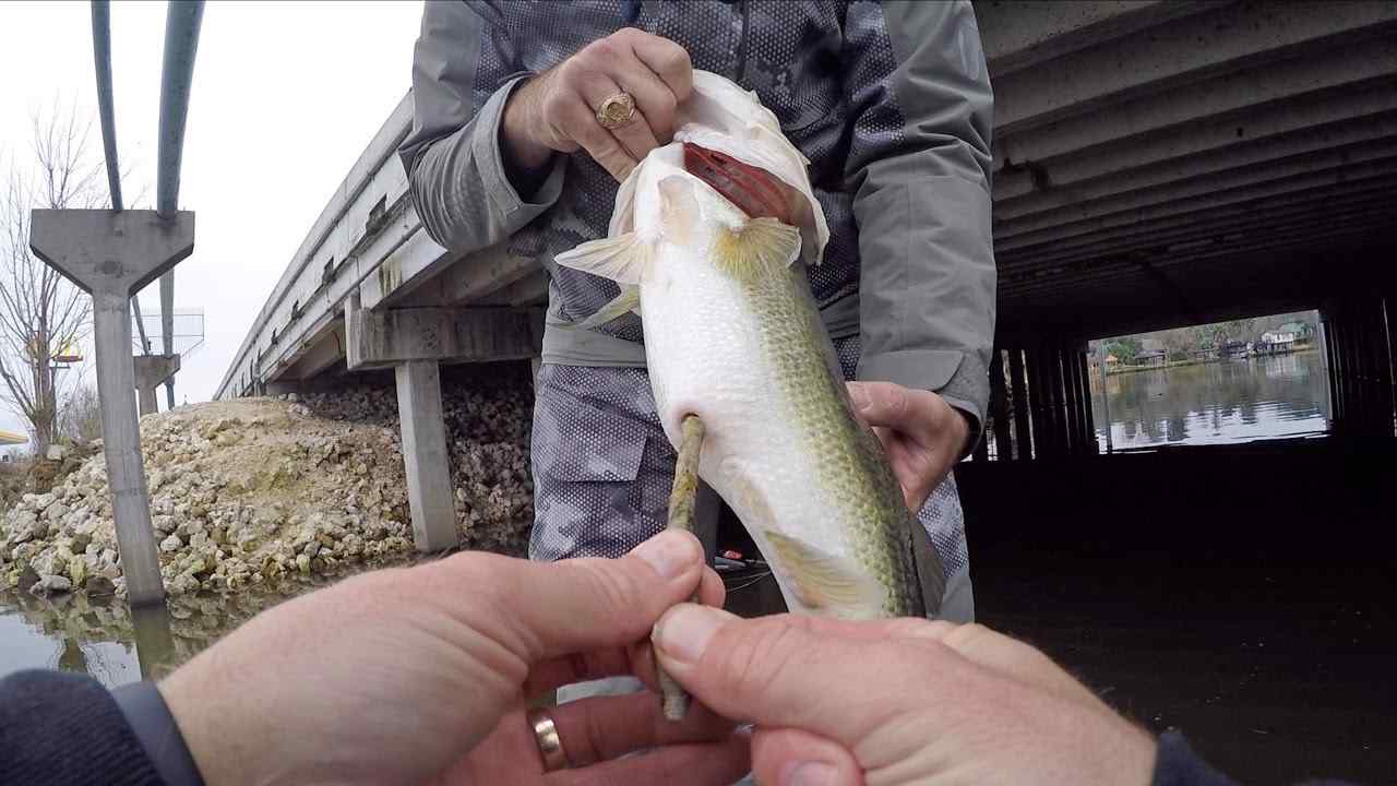 Does powerbait harm fish if eaten? Do they poop it out/throw it up? Or does  it clog their insides? : r/Fishing