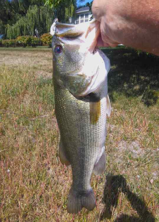 IMG_2023-09-13_12-19-38.jpeg