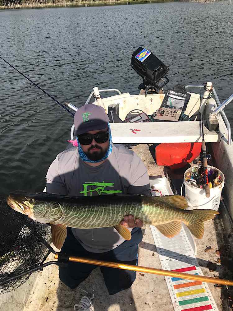 WA Fall Tiger Musky - Other Fish Species - Bass Fishing Forums