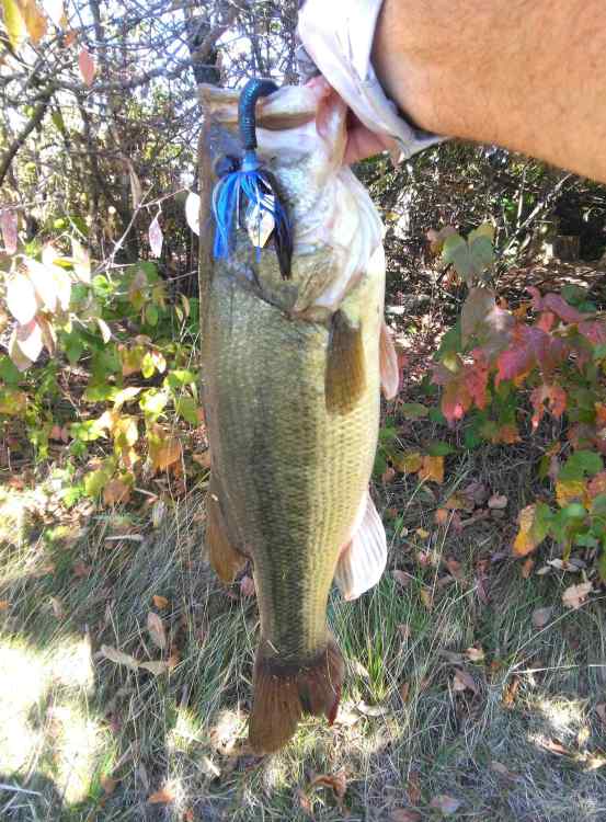 IMG_2023-09-24_12-25-24.jpg