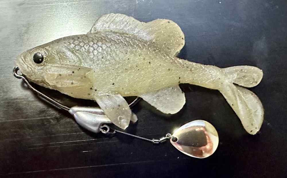 IMG_2066.jpeg