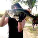 Bassist
