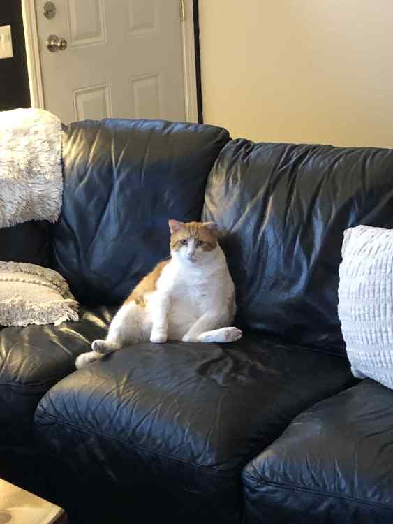 IMG_2480.jpeg