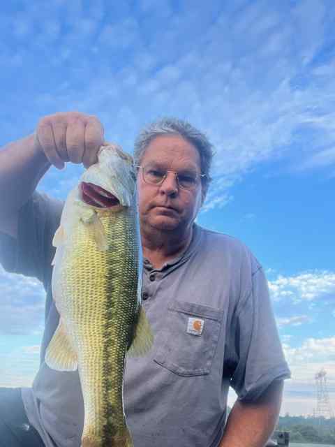 Latest Catch Pics Thread - Page 607 - Fishing Reports - Bass Fishing Forums