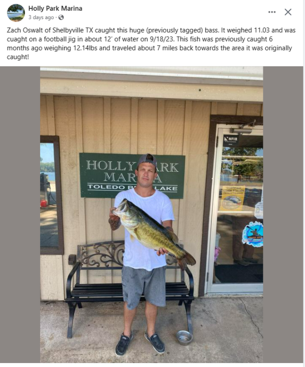 bass data point tb.PNG
