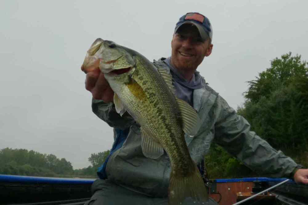 pic-5-fish-n-rain.jpg