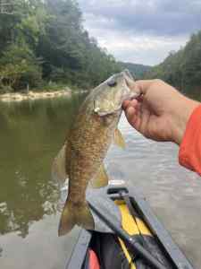 IMG_2290.jpeg