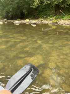 IMG_2295.jpeg