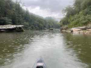IMG_2309.jpeg
