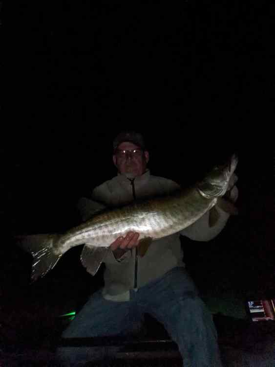 thumbnail-2023-09-11T150418_435.thumb.jpeg.b3b94121970998db013df4e8e0dec05d.jpeg
