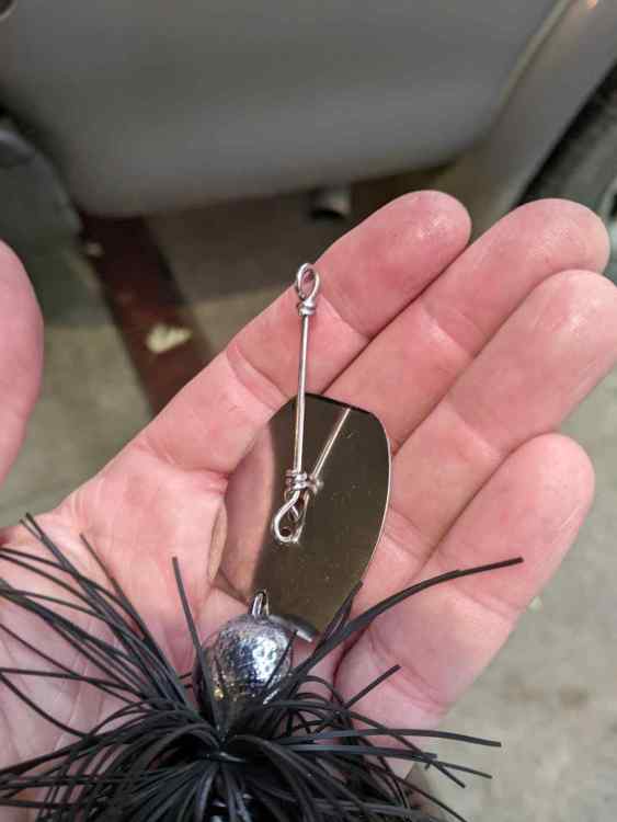 thumbnail-2023-09-25T134655_628.thumb.jpeg.3a3ebf49b777f8a94eea8909edcceacf.jpeg