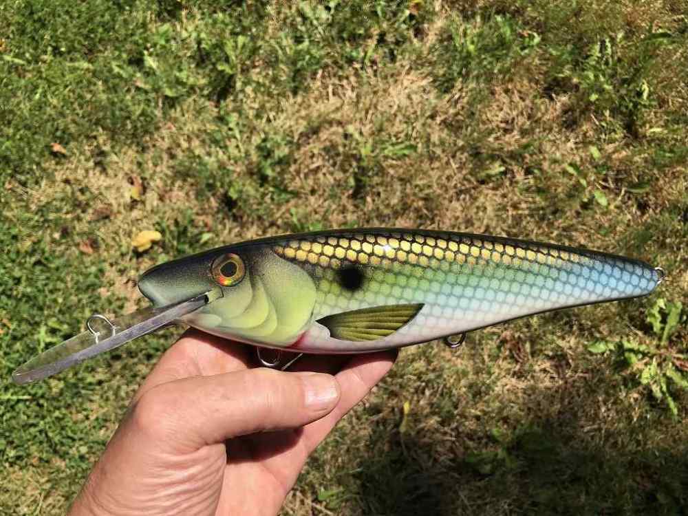 10 inch baits 13.JPG