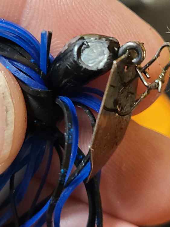 20231006_195037.jpg