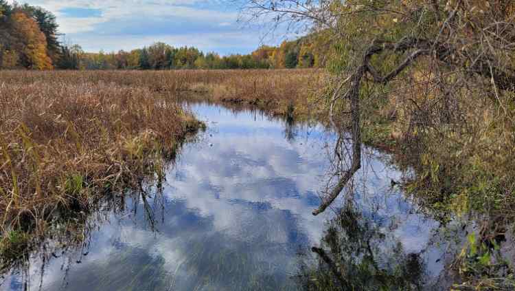 Creek1.jpg.b22d679152fec9a56f49a7c154b7a563.jpg