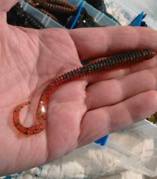Worm Stories - Fishing Tackle - Bass Fishing Forums