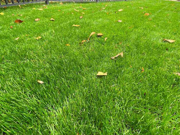 IMG_0269.jpeg.293401befd1e6abb26fa8486b5d0c434.jpeg