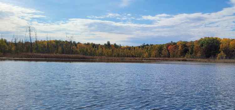 Lake1.jpg.65c776de030f21b7ecb804c7cde26b83.jpg