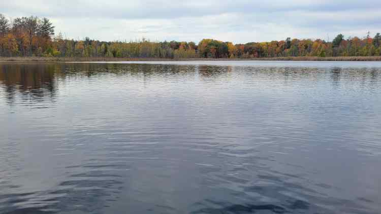 Lake2.jpg.ed683ff52c08deacb0c9e4c45dbf81f3.jpg