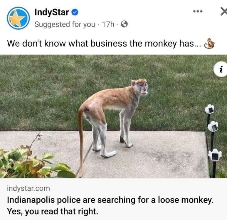 Screenshot_20231005_134603_Facebook.thumb.jpg.6c24894c2c0092c25db56c1d5fa2edf5.jpg