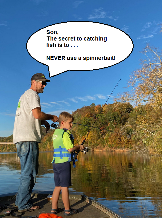image.png.e6738dbb2cf50d4147eb9b934ea076f5.png