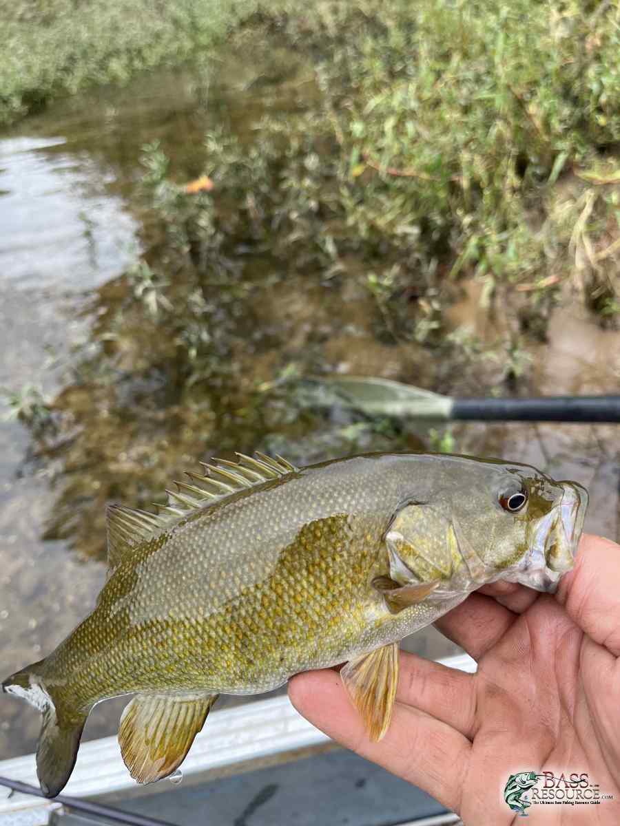 large.IMG_2623.jpeg
