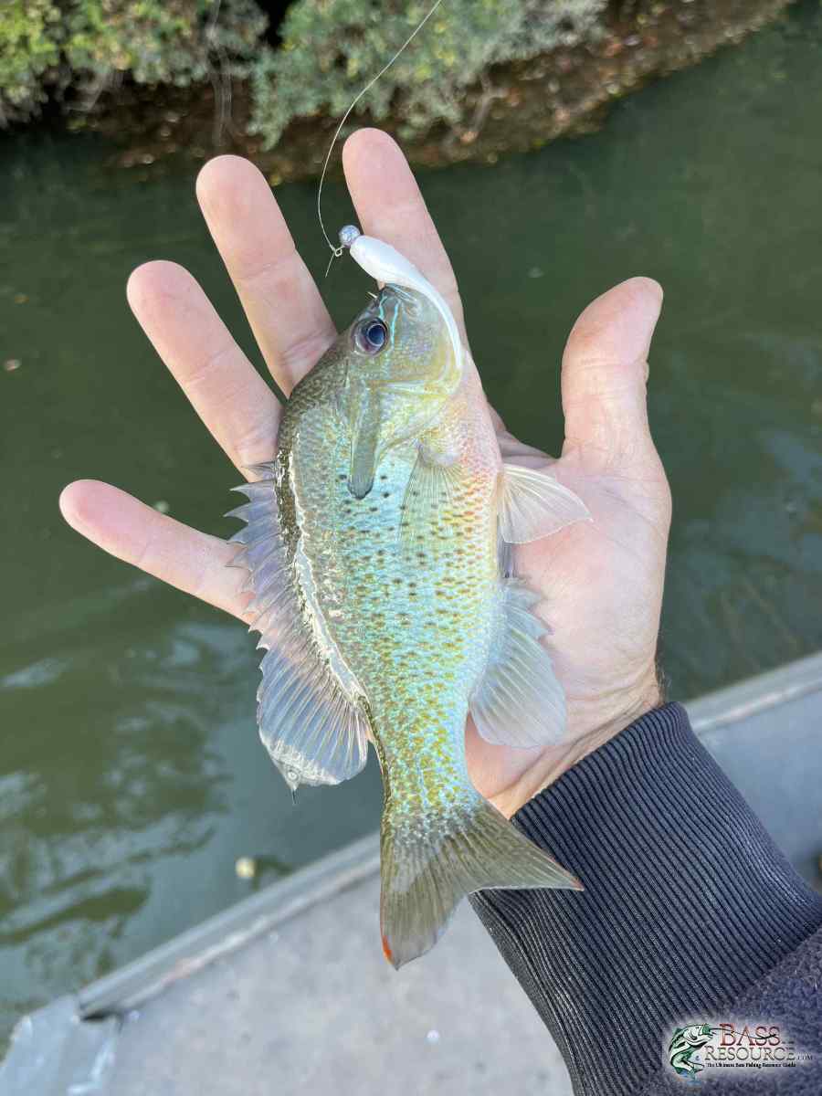 large.IMG_2978.jpeg