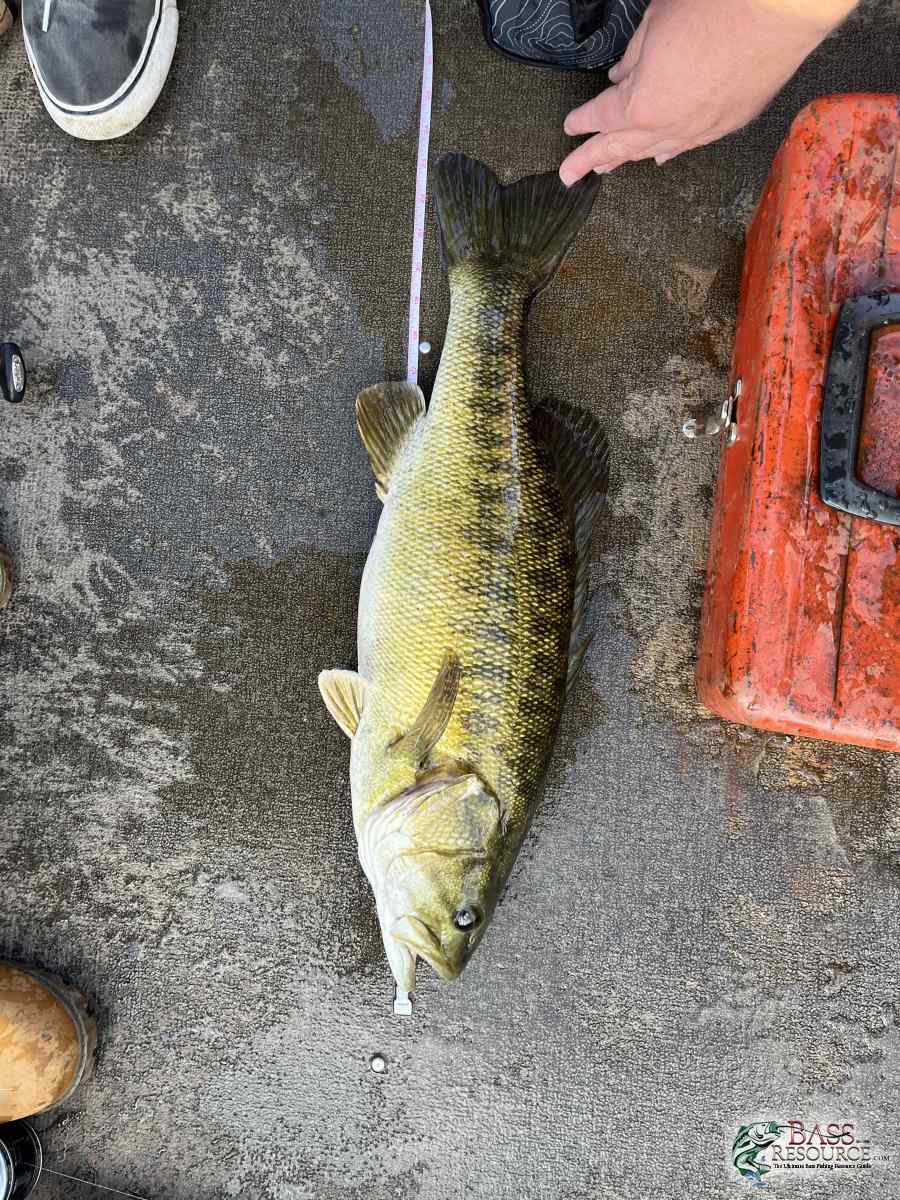 large.IMG_2991.jpeg