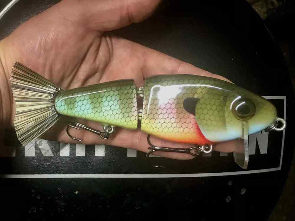 wakebait.JPG