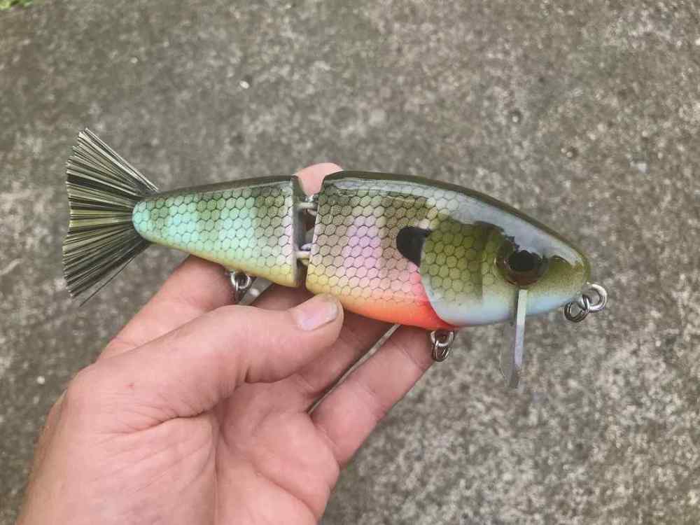 wakebait2.jpg