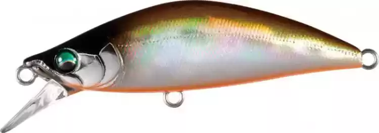 16463902042000.webp.63f94d063f719b2d679f89ea84b41d63.webp