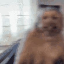 image.gif.a62f1119eef716166c28f3dfb59b7c92.gif