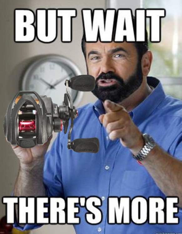 image.png.77e8bbf1fa368e02c9dc40aa559824e5.png