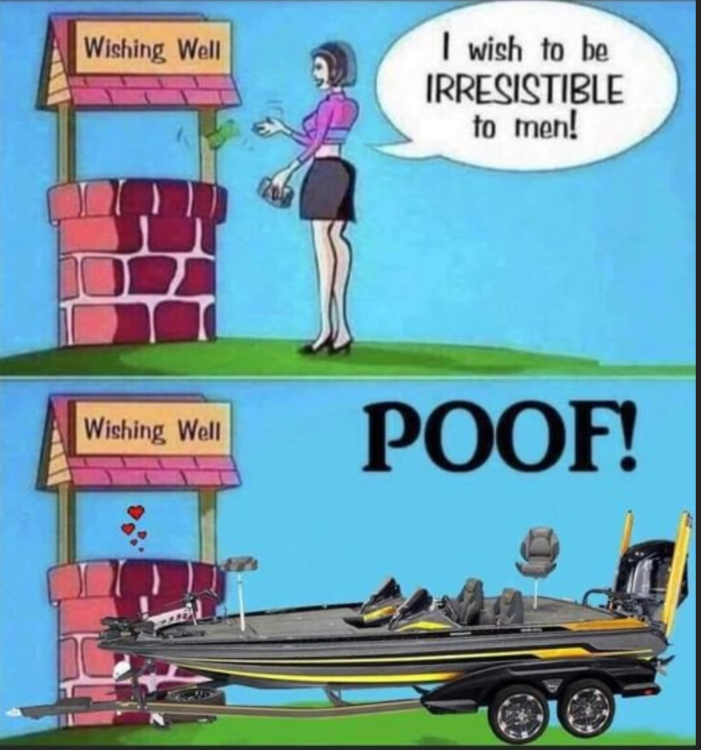 image.png.9e7579daecd865529def5eb60e45f4be.png