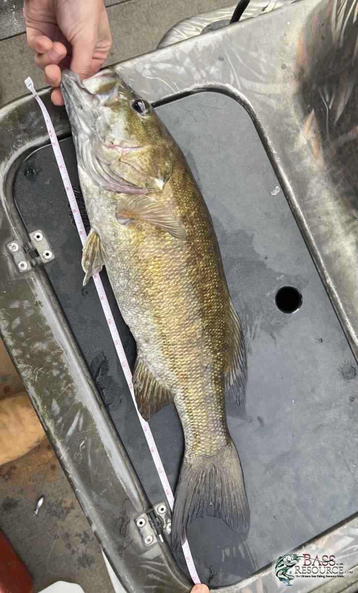 large.IMG_3231.jpeg