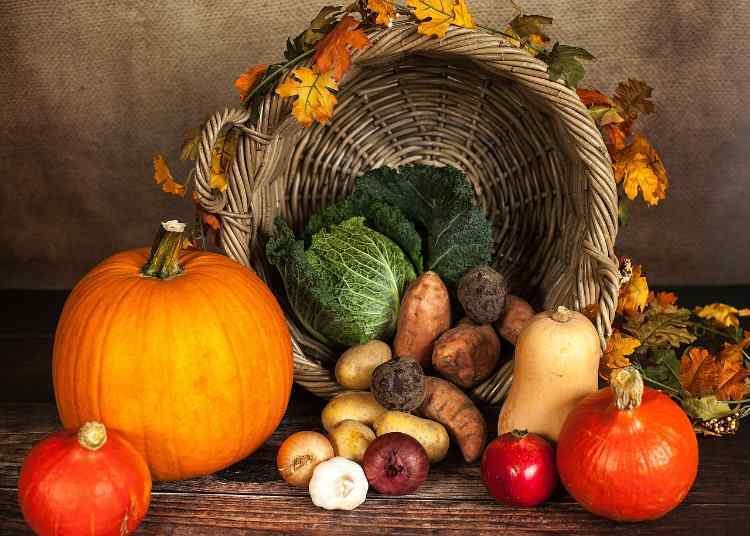 pumpkin-1768857.jpg